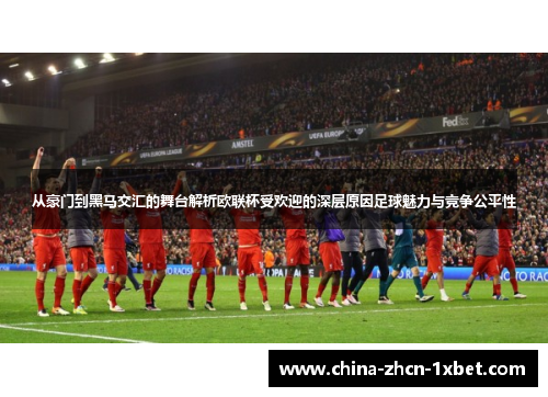 从豪门到黑马交汇的舞台解析欧联杯受欢迎的深层原因足球魅力与竞争公平性
